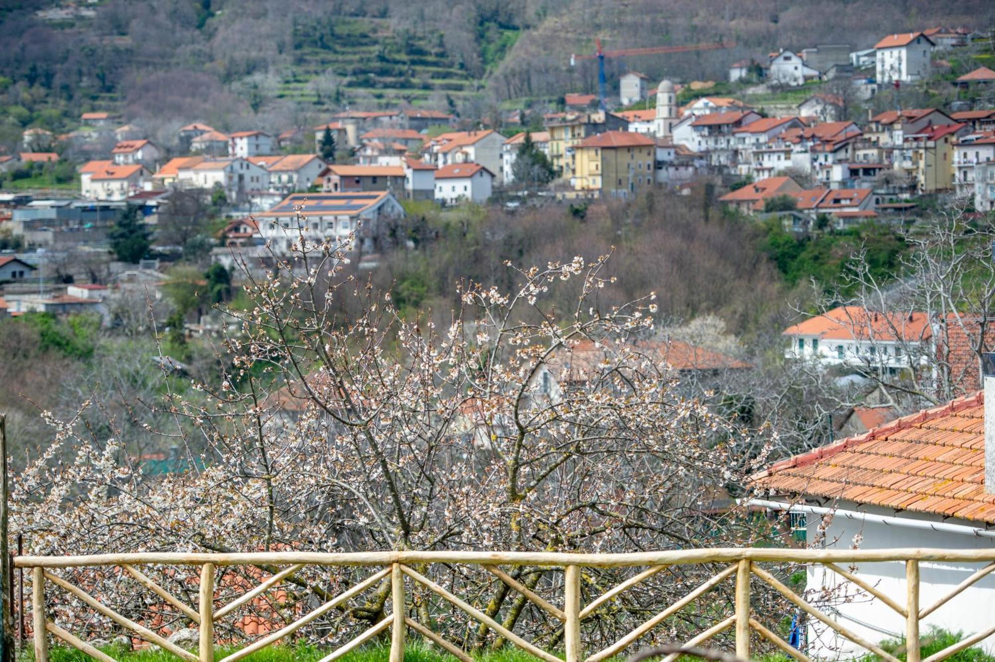 Appartamenti Aria Di Verde أَجيرولا المظهر الخارجي الصورة